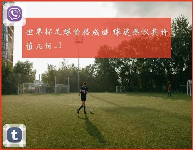 世界杯足球价格成谜 球迷热议其价值几何_1