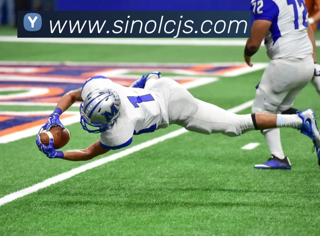 App 展示图